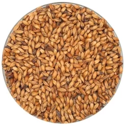 English Brown Malt - Crisp - 55 Lb. Sack