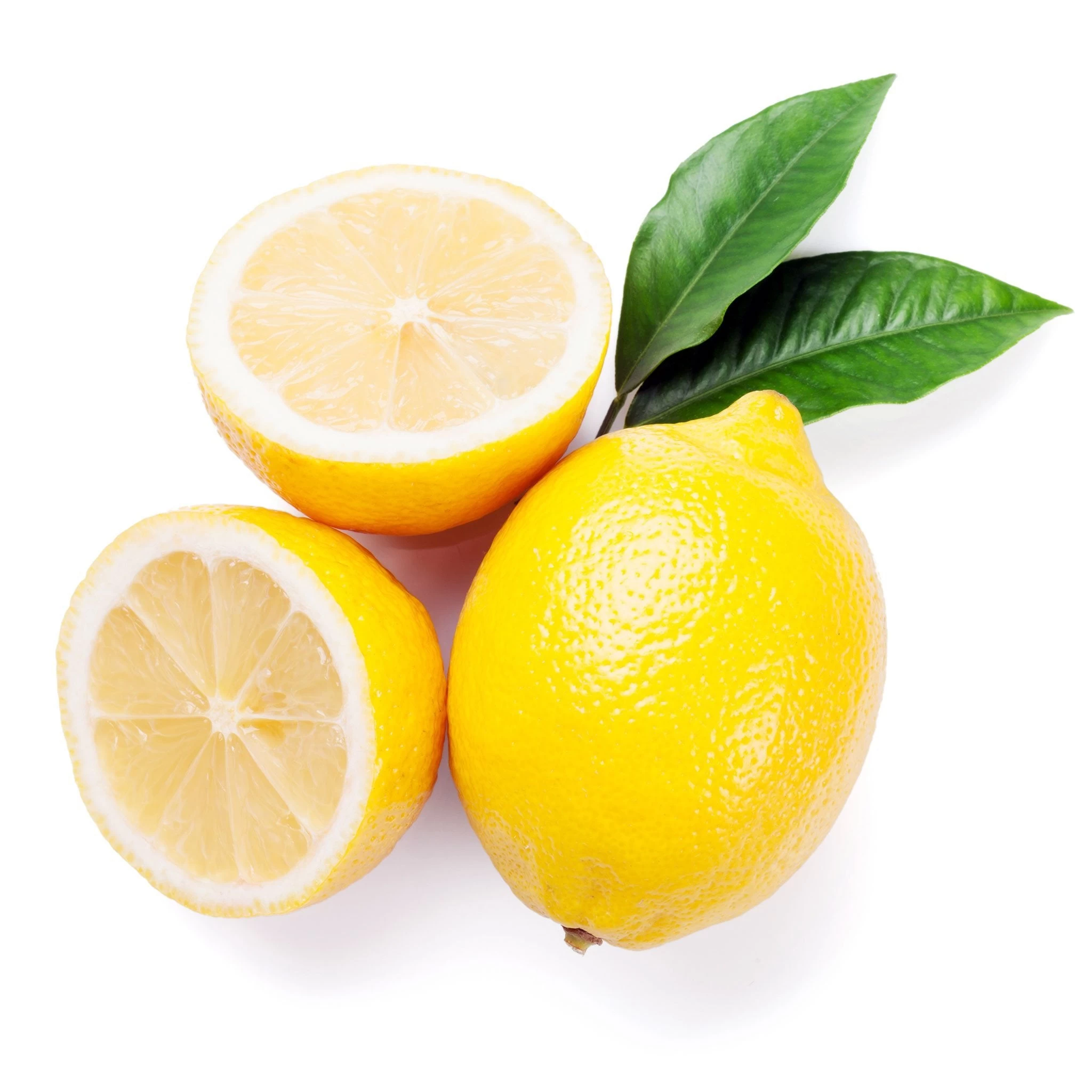 Crystallized Lemon 1 Crystallized Lemon