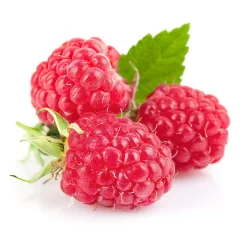 Crystallized Raspberry