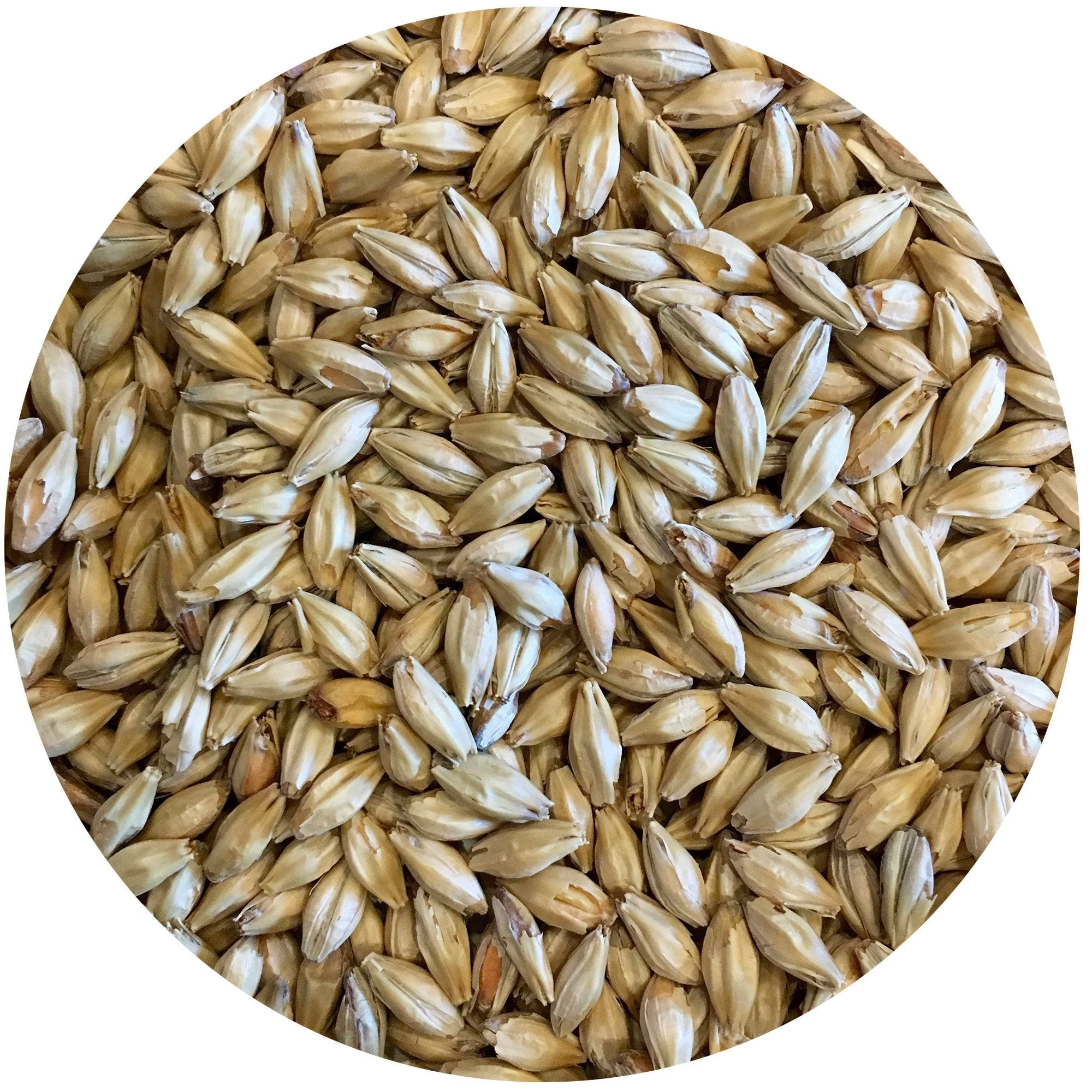 Vanora (Vienna-style) Malt - Mecca Grade 1 Vanora (Vienna-style) Malt - Mecca Grade