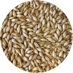 Metolius (Munich-style) Malt - Mecca Grade