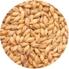 German Red X® Malt (Munich Malt) - Best Malz - 55 Lb. Sack