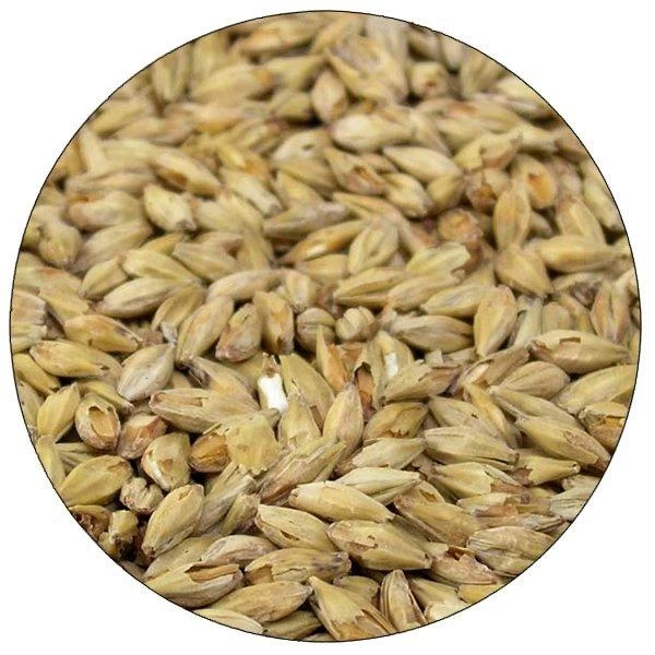 Honey Malt - Root Shoot Malting - 50 Lb. Sack 1 Honey Malt - Root Shoot Malting - 50 Lb. Sack