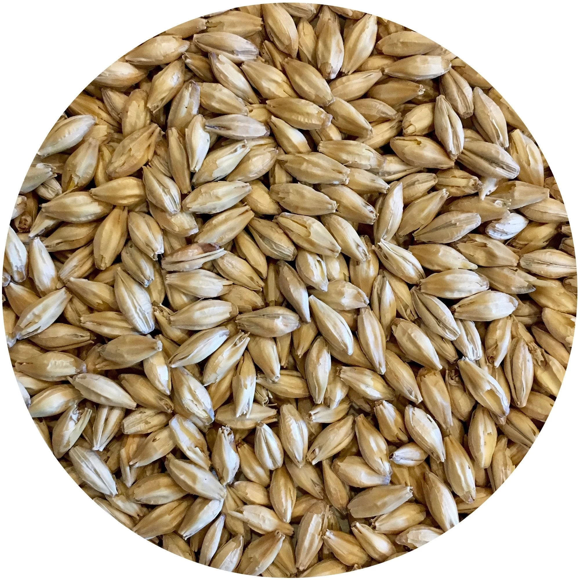 Gateway (Under-Modified Wind-Malt) - Mecca Grade - 50 Lb. Sack 1 Gateway (Under-Modified Wind-Malt) - Mecca Grade - 50 Lb. Sack