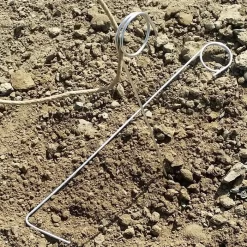 IPA Hop Rhizomes Grow Kit - Pre-order For 2024 Season -Wine Making Equipment hop clips x700 fd062d8c aa7b 4bee 99f3 7a7cad401809