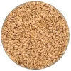 Irish Distiller's Malt - Malting Co. Of Ireland - 55 Lb. Sack