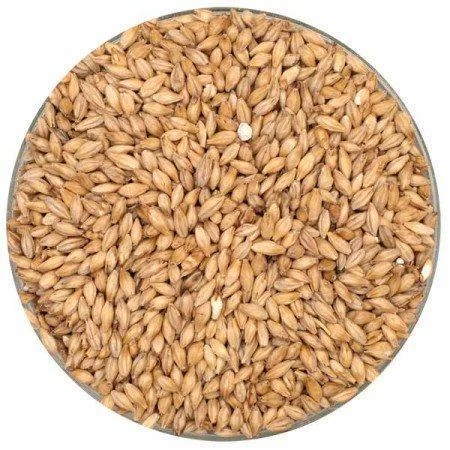 Barke® German Pilsner Malt - Weyermann® - 55 Lb. Sack 1 Barke® German Pilsner Malt - Weyermann® - 55 Lb. Sack