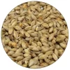 Munich 10 Malt - Root Shoot Malting - 50 Lb. Sack