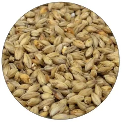 Munich 10 Malt - Root Shoot Malting - 50 Lb. Sack