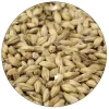 Organic 2-Row Malt - Briess - 50 Lb. Sack