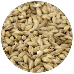 Organic 2-Row Malt - Briess - 50 Lb. Sack