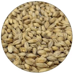 Golden Promise Malt - 55 Lb. Sack