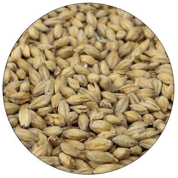 Golden Promise Malt - 55 Lb. Sack 1 Golden Promise Malt - 55 Lb. Sack