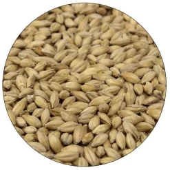 English Maris Otter Malt - Simpsons - 55 Lb. Sack