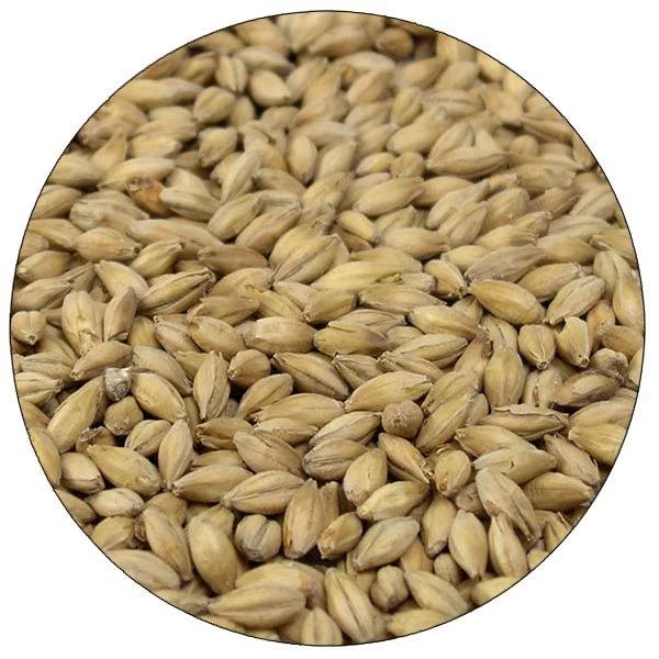 English Maris Otter Malt - Simpsons - 55 Lb. Sack 1 English Maris Otter Malt - Simpsons - 55 Lb. Sack