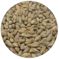 English Floor Malted Maris Otter Malt - Warminster - 55 Lb. Sack